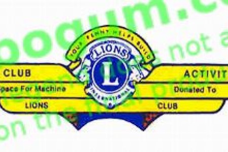 Ford Lions Club Wings (3/4 Size) - DC234