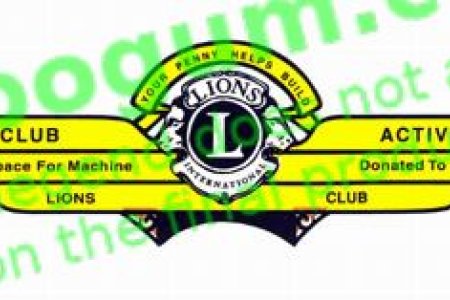 Ford Lions Club Wings - DC462