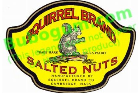 Squirrel Brand Salted Nuts - DC515