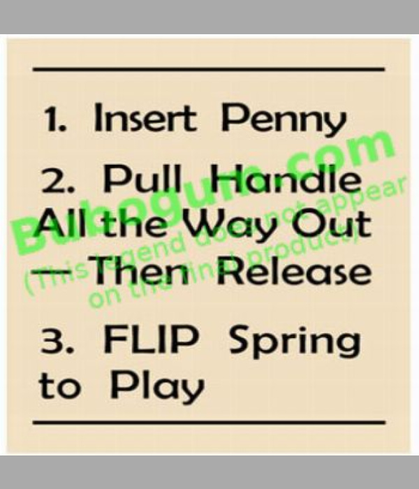 Coast Basketball, Instructions - DC619