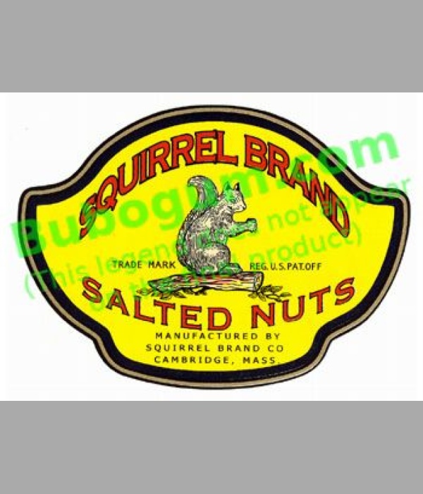 Squirrel Brand Salted Nuts - DC515