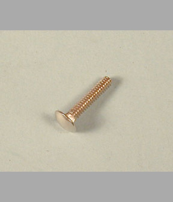 Carriage Bolts 10-24 x 1" - FS005